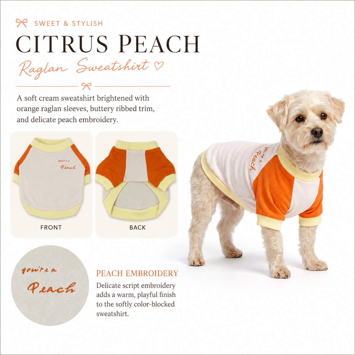 Citrus Peach Raglan Sweatshirt