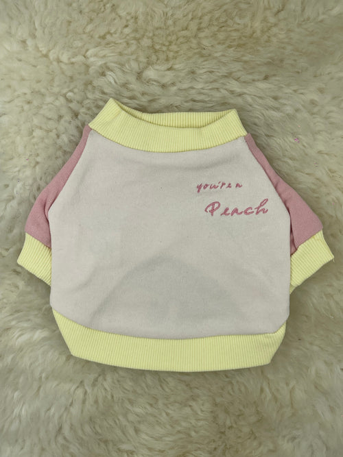 Blush Peach Raglan Sweatshirt