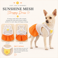 Sunshine Mesh Strappy Dress