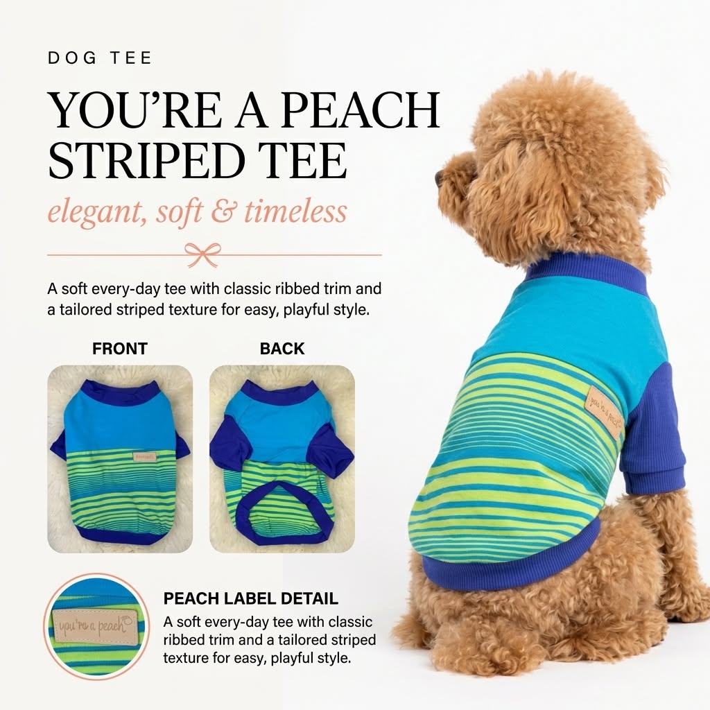 You'Re A Peach Striped Tee Elegant Soft And Timeless